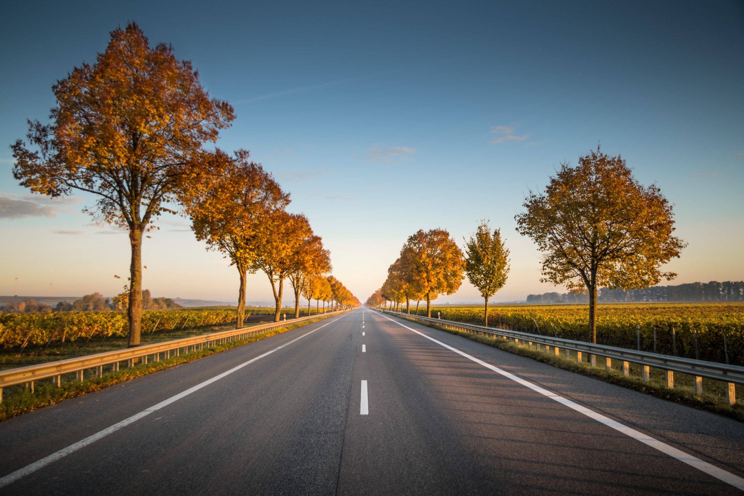 La Fundación Hidrógeno Aragón presenta su actividad sobre hidrógeno en el transporte por carretera en un webinar de Gasnam
