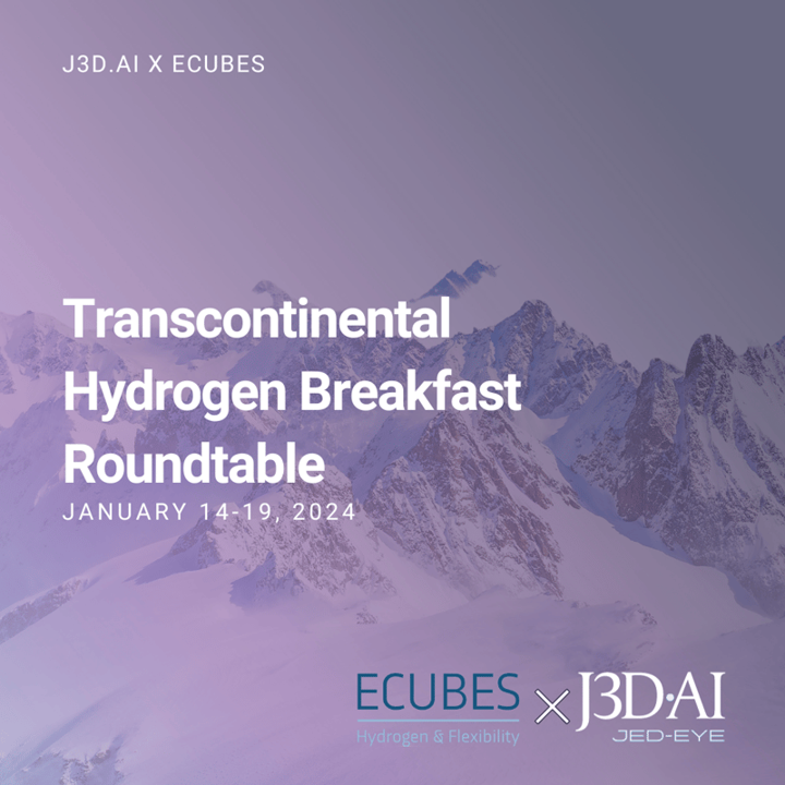 NAHV partners at Transcontinental Hydrogen Valley Roundtable in Davos