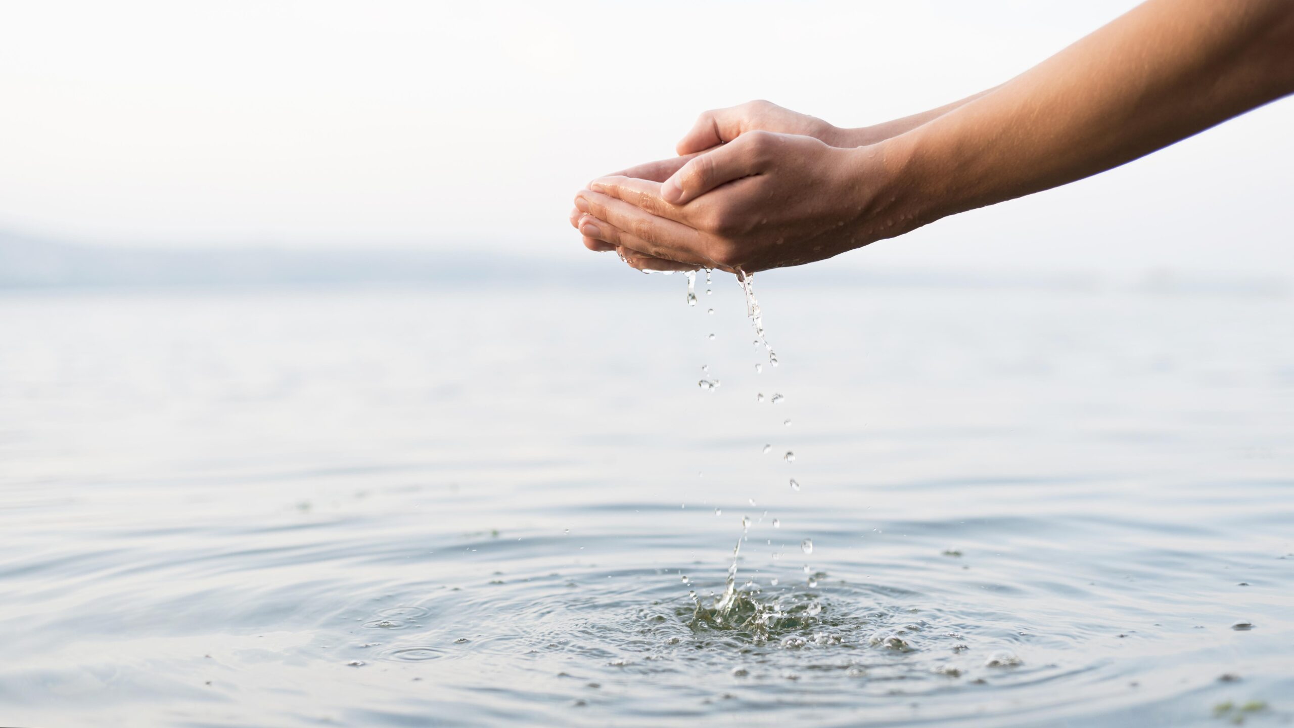 Un futuro verde con hidrógeno y agua: unidos por la sostenibilidad
